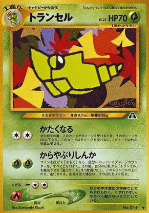 Metapod - Crossing the Ruins
