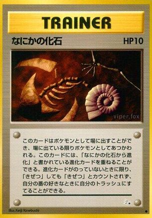 Mysterious Fossil - Mystery of the Fossils