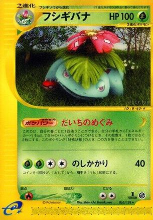 Venusaur - 065/128 (065/128) - Base Expansion Pack 1st Edition
