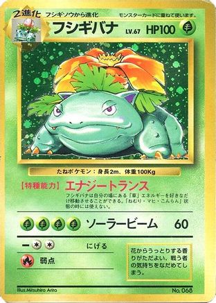 Venusaur - Expansion Pack No Rarity Holofoil