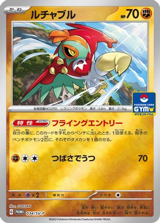 Hawlucha - 034/SV-P (034/SV-P) - SVP Promotional Cards Holofoil