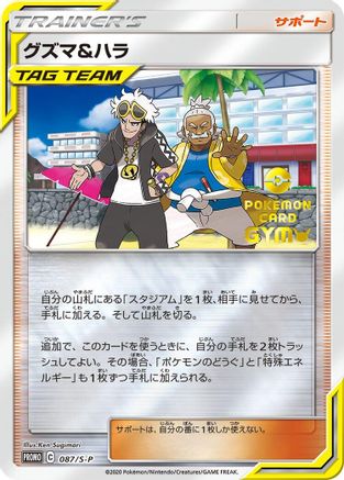 Guzma & Hala - 087/S-P (087/S-P) - SP Sword Shield Promos Holofoil