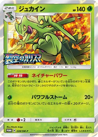 Sceptile - 228/SM-P (228/SM-P) - SMP Sun Moon Promos Holofoil