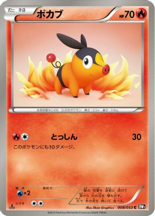 Tepig (008/053) - BW1 Black Collection 1st Edition