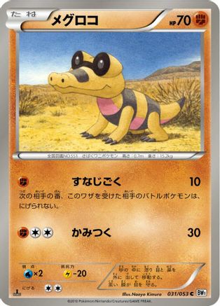 Sandile (031/053) - BW1 White Collection 1st Edition