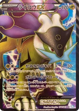 Raikou EX - 071/069 (071/069) - BW4 Dark Rush 1st Edition Holofoil