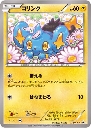 Shinx - 178/XY-P (178/XY-P) - XYP XY Promos