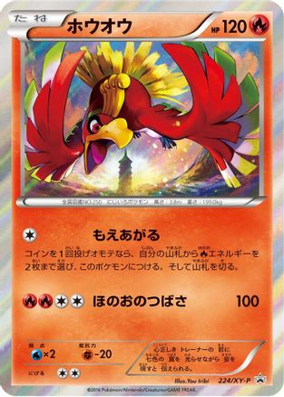 Ho-Oh - 224/XY-P (224/XY-P) - XYP XY Promos Holofoil