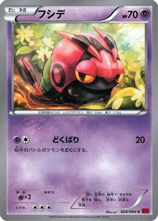 Venipede (024/060) - XYBy Collection Y 1st Edition
