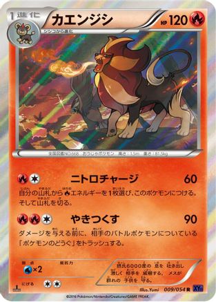 Pyroar (009/054) - XY11Bb FeverBurst Fighter Unlimited Holofoil