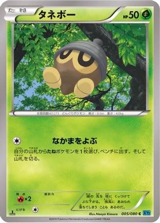 Seedot (005/080) - XY2 Wild Blaze 1st Edition