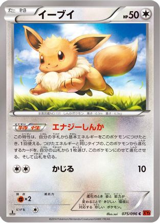 Eevee (075/096) - XY3 Rising Fist 1st Edition