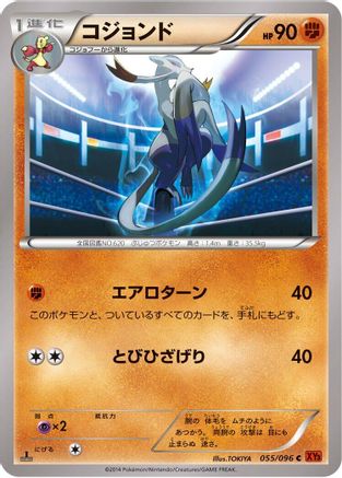 Mienshao (055/096) - XY3 Rising Fist Unlimited