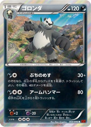 Pangoro (064/096) - XY3 Rising Fist 1st Edition Holofoil