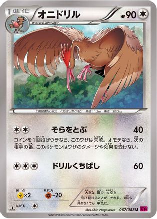 Fearow (067/088) - XY4 Phantom Gate 1st Edition