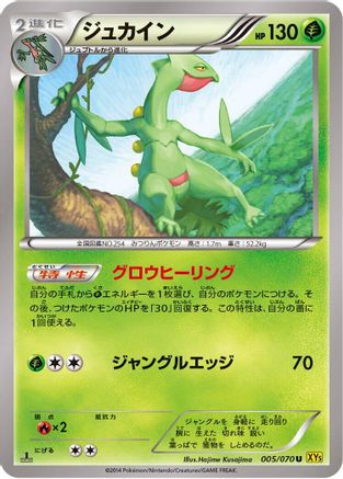 Sceptile - 005/070 (005/070) - XY5Bg Gaia Volcano 1st Edition