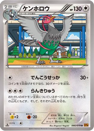 Unfezant - 066/078 (066/078) - XY6 Emerald Break Unlimited