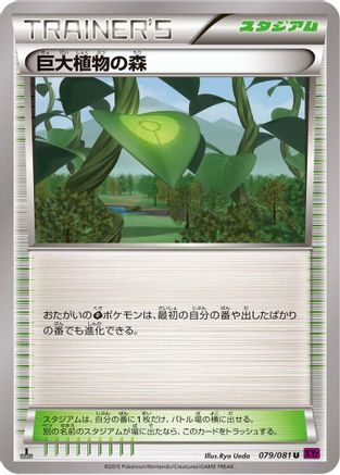 Forest of Giant Plants (079/081) - XY7 Bandit Ring 1st Edition