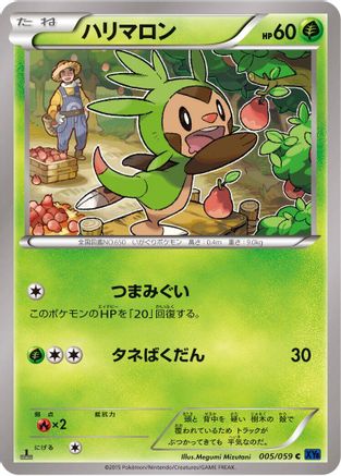 Chespin (005/059) - XY8Bb Blue Shock 1st Edition