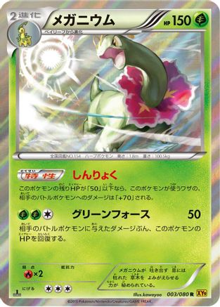 Meganium (003/080) - XY9 Rage of the Broken Heavens 1st Edition Holofoil