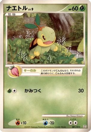 Turtwig (001/012) - PtR Regigigas LVX Collection Pack