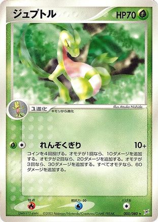 Grovyle (005/080) - Magma VS Aqua Two Ambitions 1st Edition