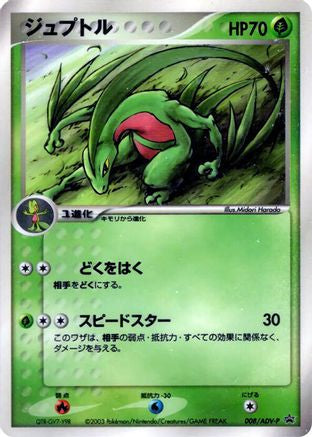 Grovyle - 008/ADV-P (008/ADV-P) - ADVP Promotional cards