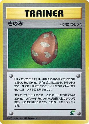 Berry - Intro Pack Neo Chikorita