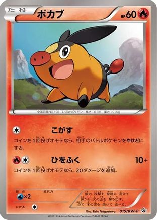Tepig - 019/BW-P (019/BW-P) - BWP Promotional cards