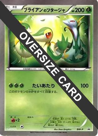 Snivy (Lawsons Original Customization Jumbo Card) - BWP Promotional cards Holofoil