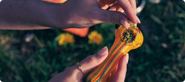 Buying THCA Hemp Flower Online in Miami, FL