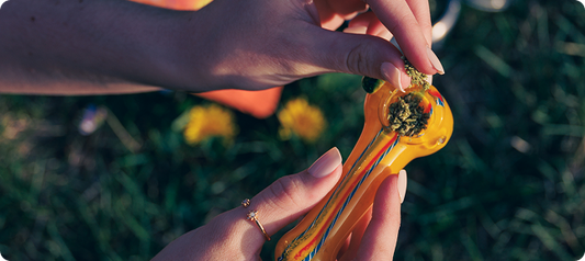 Buying THCA Hemp Flower Online in Miami, FL