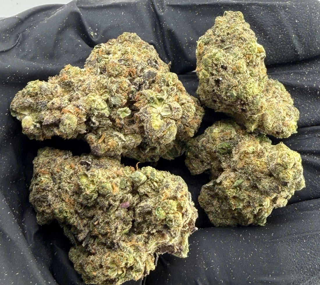 Where to Buy Cannabis in Las Vegas (Without Wasting Money)