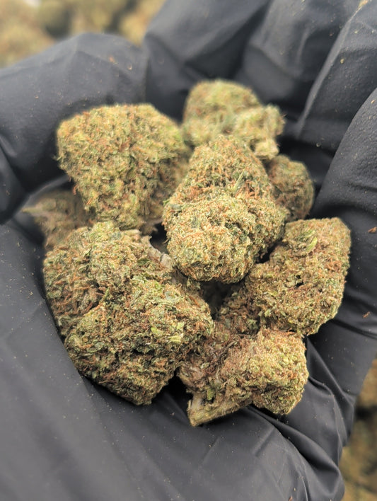Cannabis in Pittsburg, KS—What to Look For (and What to Avoid)