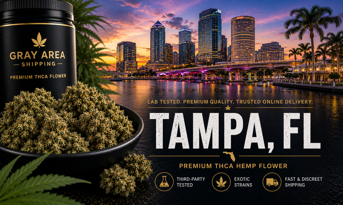 Premium THCA hemp flower available online in Tampa, Florida with Tampa skyline background