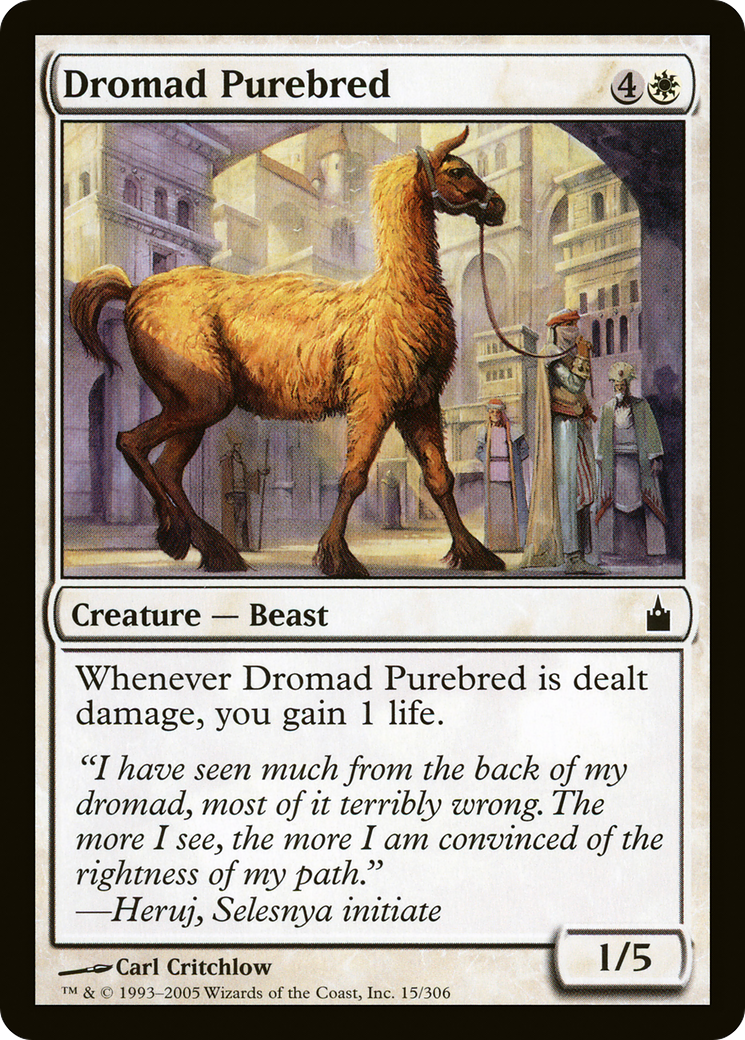 Dromad Purebred (RAV-015) [Ravnica: City of Guilds]