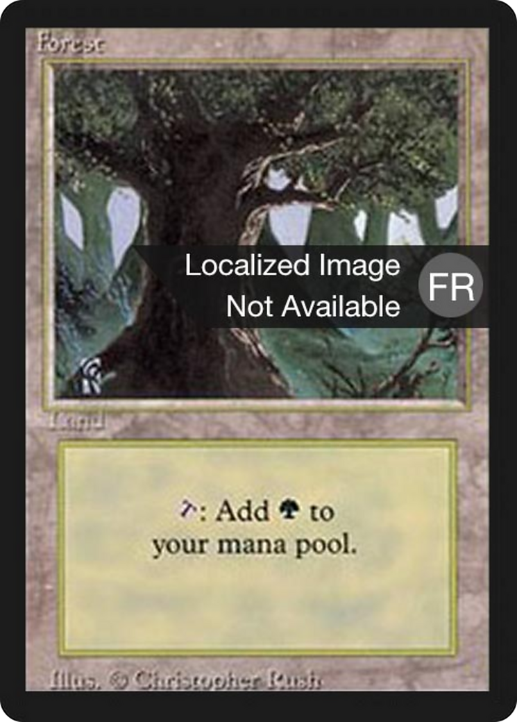 Forest (A) (FBB-284) [Foreign Black Border]