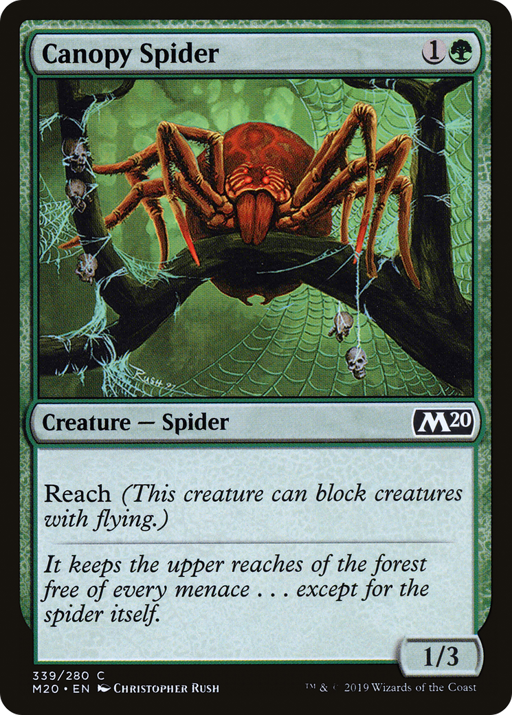 Canopy Spider (M20-339) [Core Set 2020]