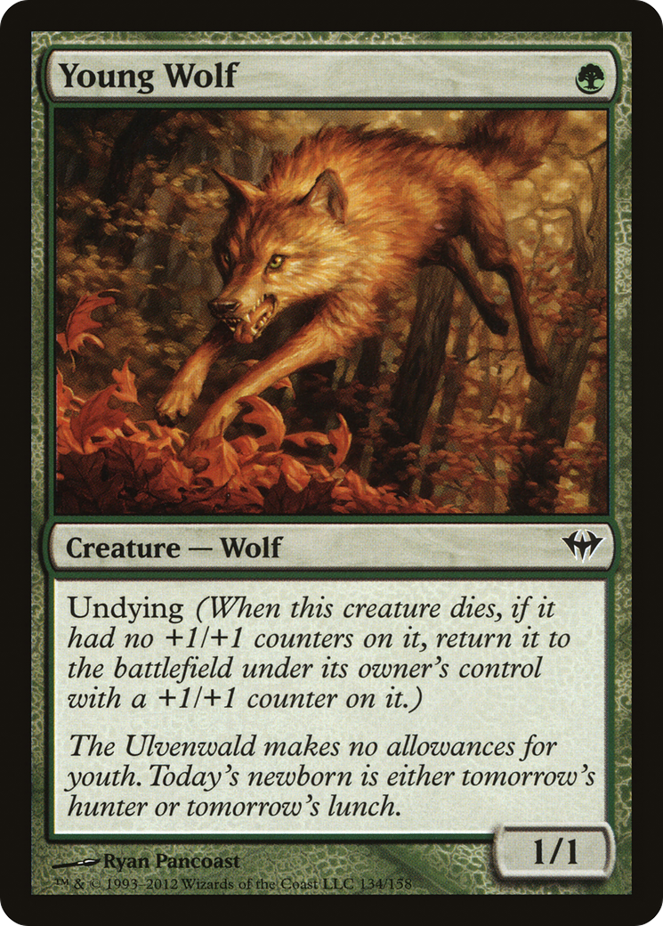 Young Wolf (DKA-134) [Dark Ascension]