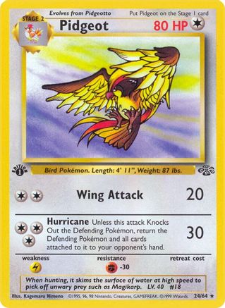 Pidgeot (024/64) [Jungle] 1st Edition - Rare