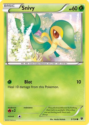 Snivy (005/124) [XY  Fates Collide] - Common