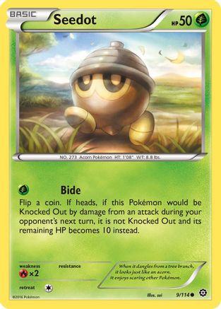 Seedot (009/114) [XY  Steam Siege] Reverse Holofoil - Common