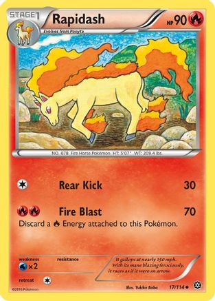 Rapidash (017/114) [XY  Steam Siege] - Uncommon