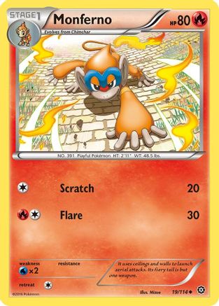 Monferno (019/114) [XY  Steam Siege] - Uncommon