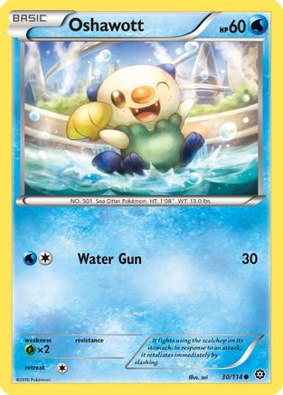 Oshawott (030/114) [XY  Steam Siege] - Common