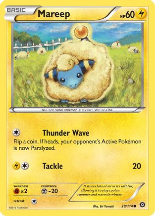 Mareep (038/114) [XY  Steam Siege] Reverse Holofoil - Common