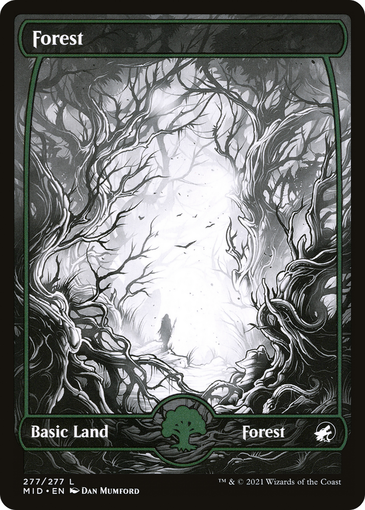 Forest (MID-277) (Showcase) [Innistrad: Midnight Hunt] Foil