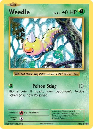 Weedle (005/108) [XY  Evolutions] - Common