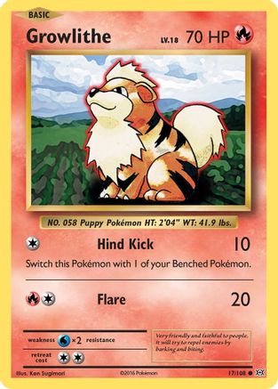 Growlithe (017/108) [XY  Evolutions] - Common