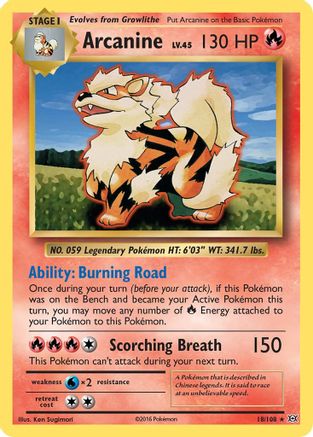 Arcanine (018/108) [XY  Evolutions] - Rare